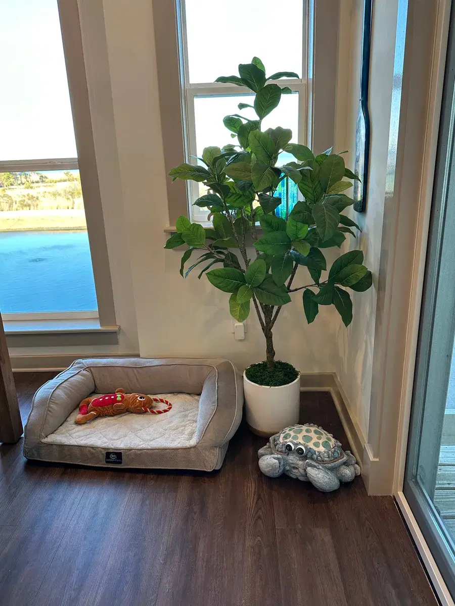 Cozy pet bed near the waterfront window at Grandy Cove