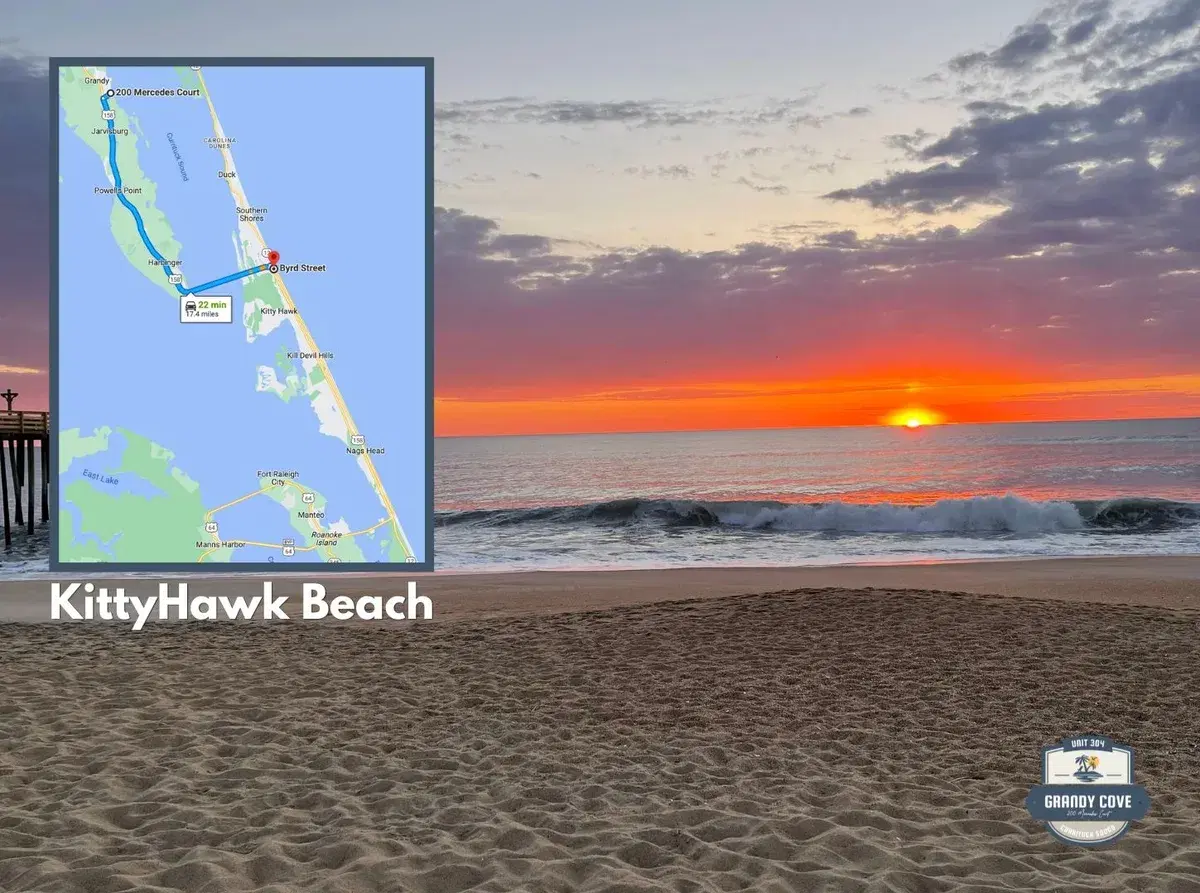 Dog-Friendly Beaches